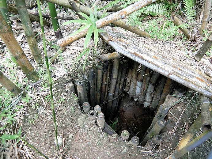 c0142326_1003861.jpg