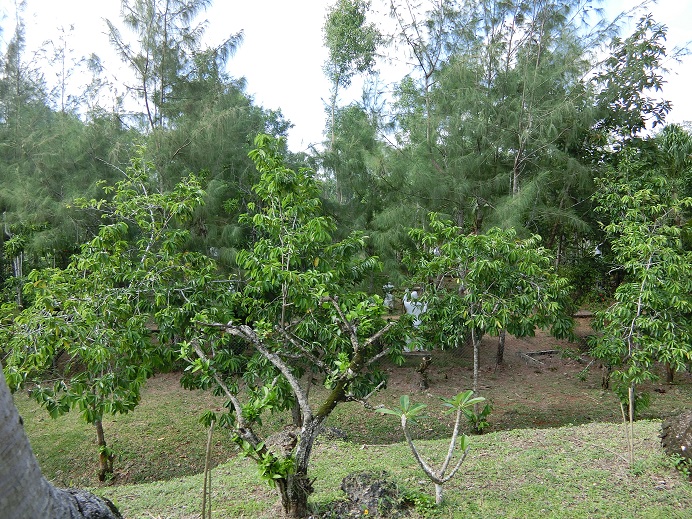 c0142326_101092.jpg