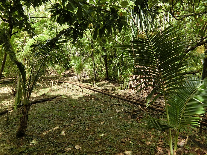c0142326_9543176.jpg