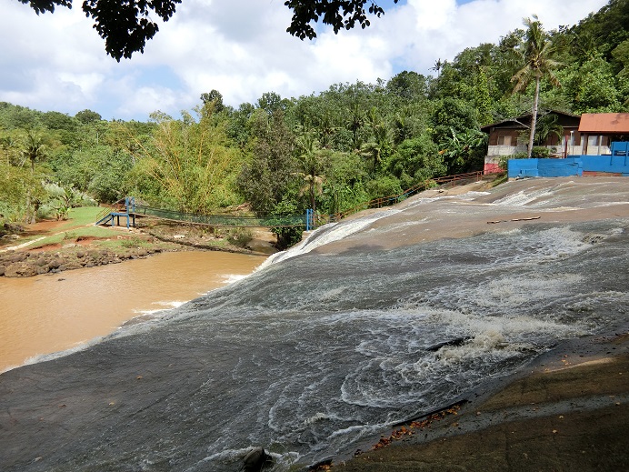c0142326_98266.jpg