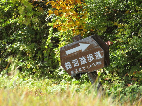 a0248728_21481034.jpg