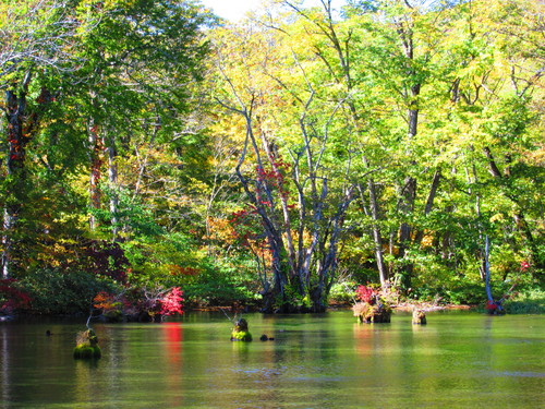a0248728_2150131.jpg
