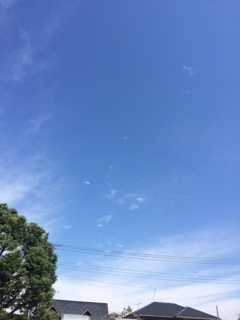 f0332332_14154690.jpg