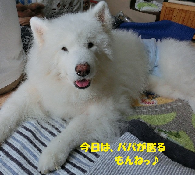 e0196135_2018313.jpg