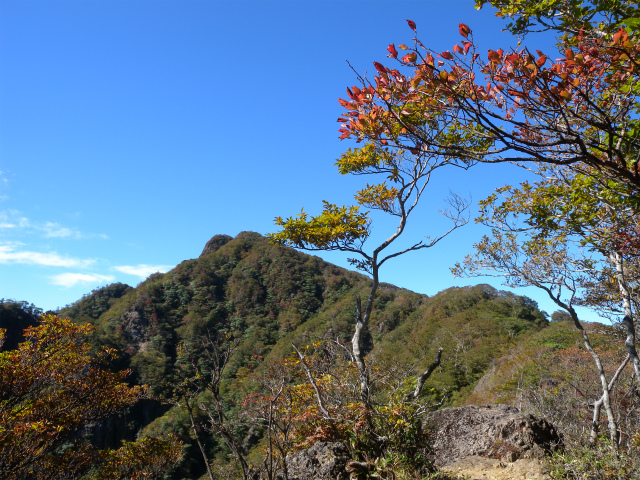 e0272335_163106.jpg