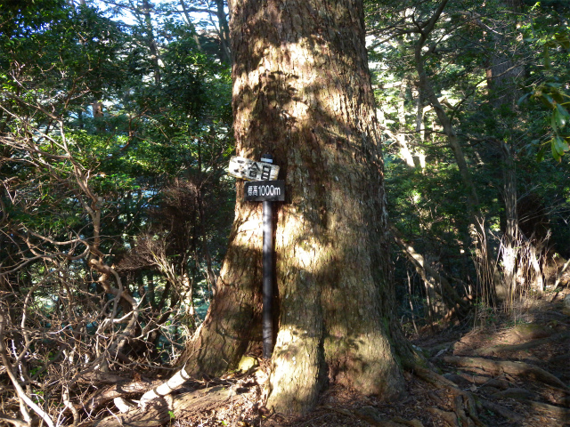 e0272335_1643212.jpg