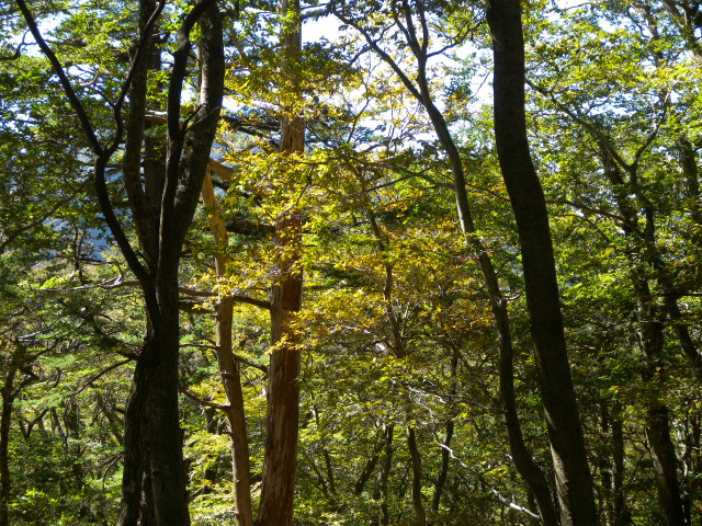 e0272335_18482174.jpg