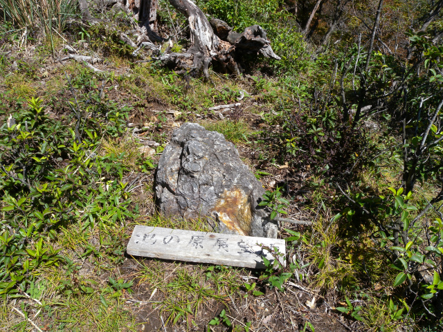 e0272335_1851891.jpg
