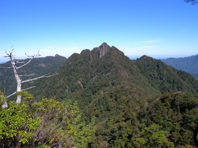 e0272335_190034.jpg