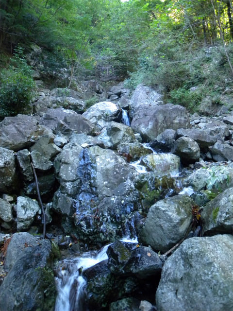 e0272335_19105096.jpg