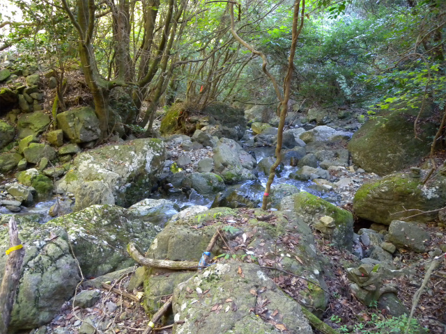 e0272335_1912479.jpg