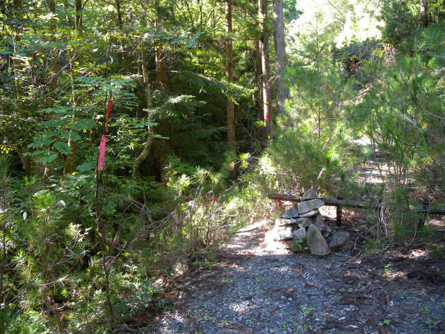 e0272335_1913586.jpg