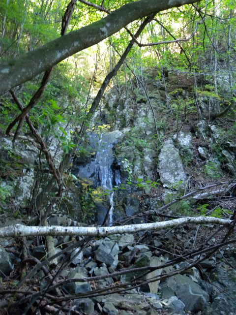 e0272335_195817.jpg