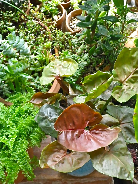 b0027736_13331053.jpg