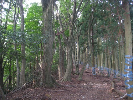 c0077338_1741764.jpg