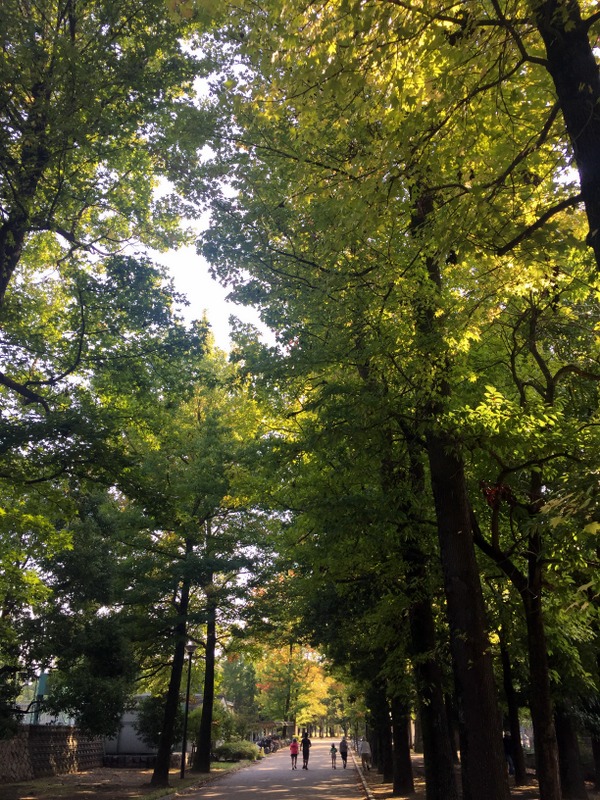 b0057140_20175797.jpg
