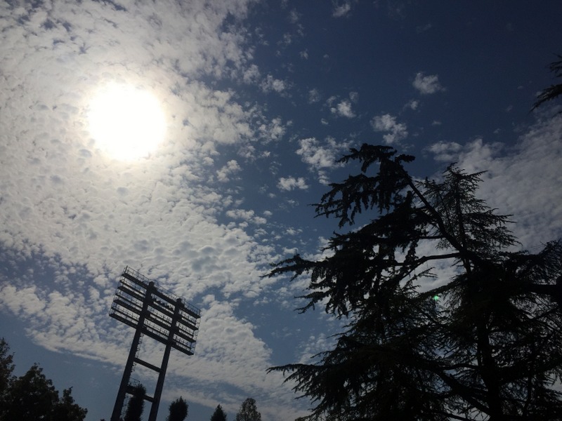 b0057140_20193561.jpg