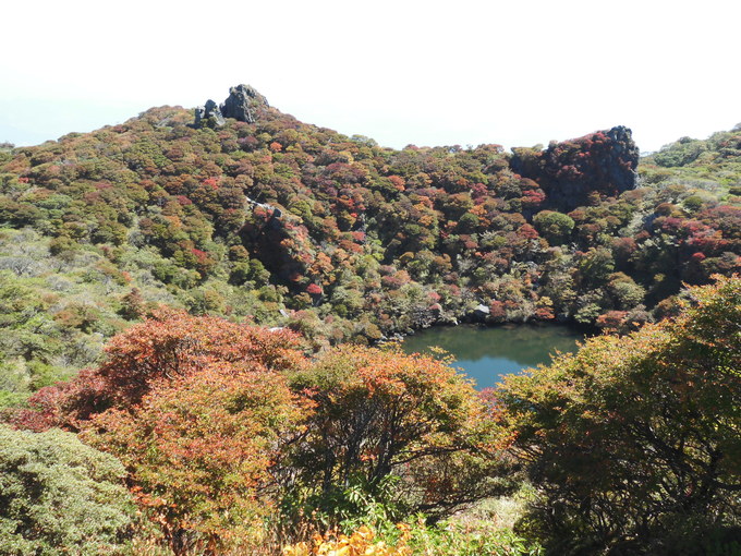 a0206345_1919119.jpg