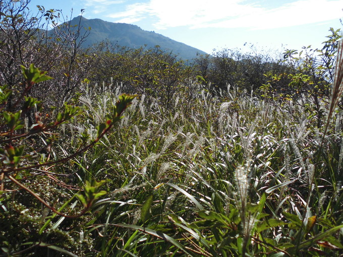 a0206345_20342740.jpg