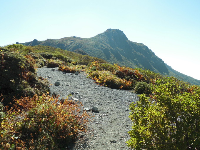 a0206345_20434680.jpg