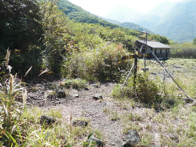 a0206345_21112342.jpg
