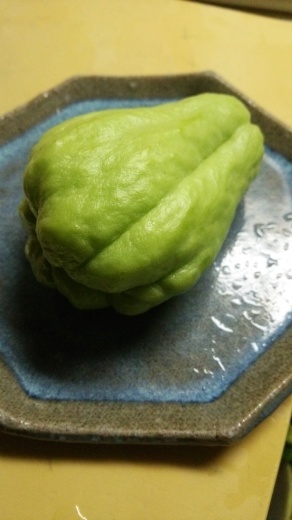 f0309148_08105399.jpg