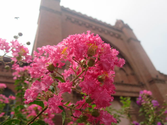 c0011649_22351667.jpg