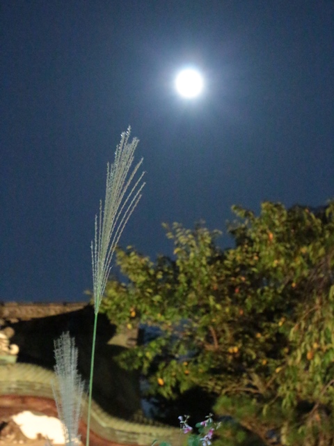 e0017051_2003163.jpg