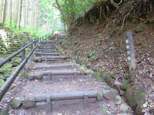 f0202151_20555549.jpg