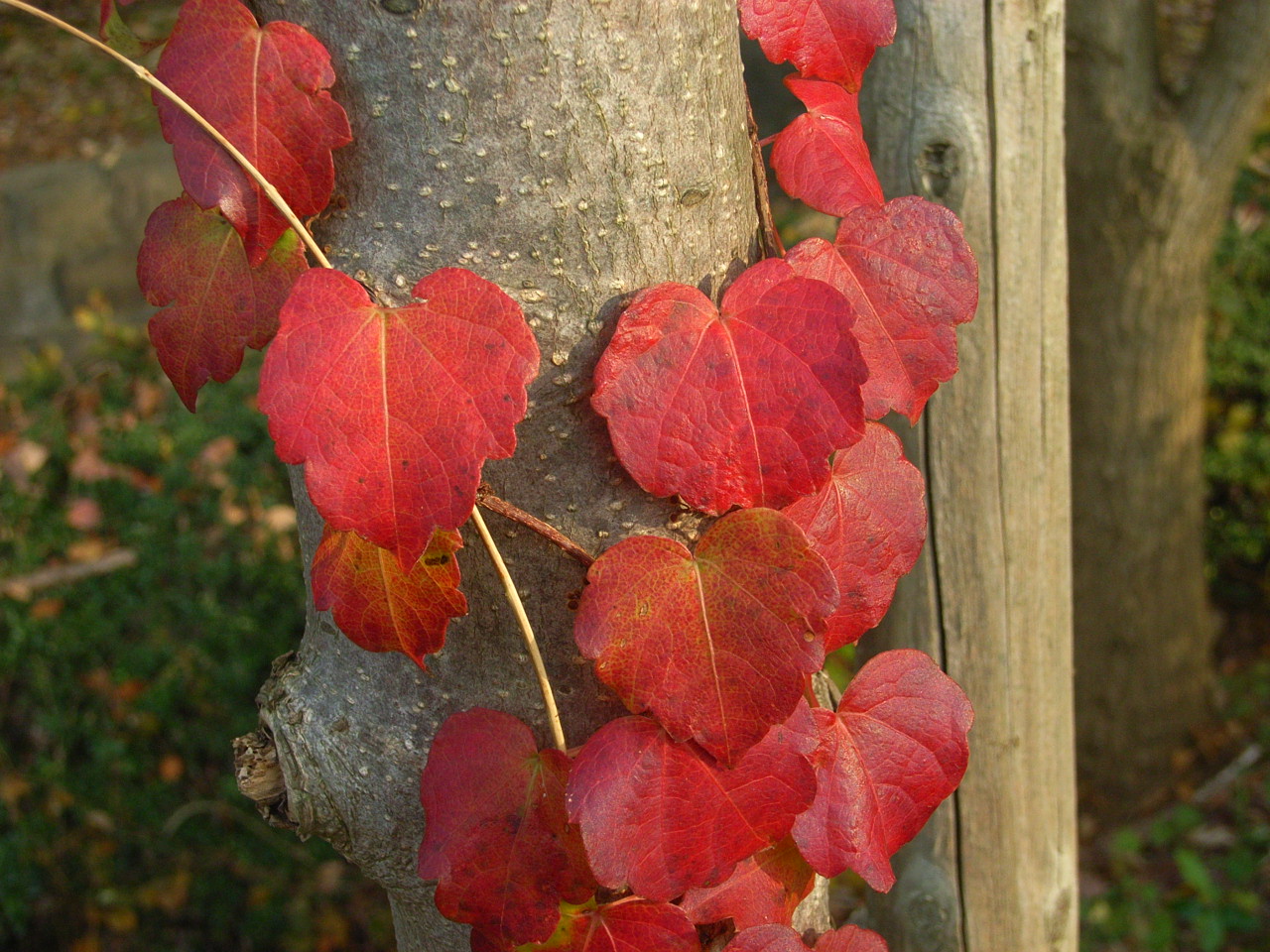 f0257756_12452223.jpg