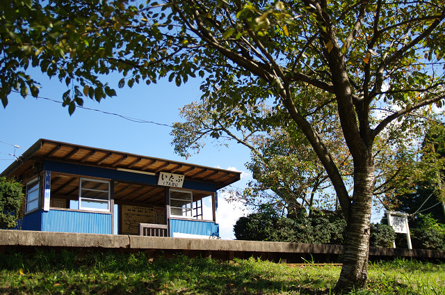 c0080357_11265327.jpg