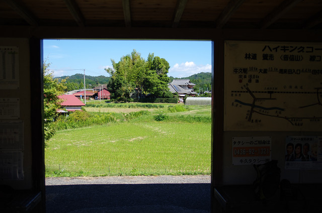 c0080357_1127199.jpg