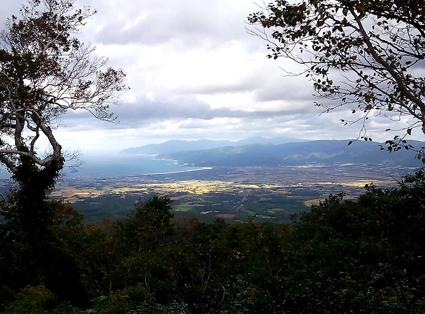 b0086858_15095131.jpg
