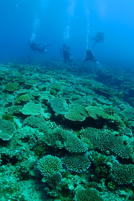 b0062363_1911840.jpg