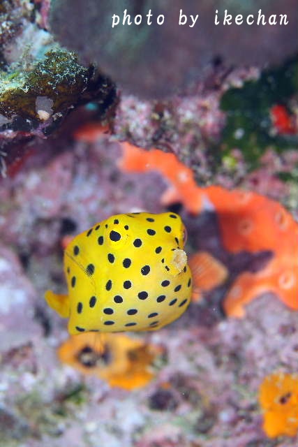 a0155467_20103181.jpg