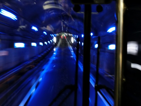 e0045768_22145618.jpg