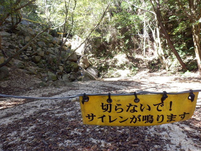f0057070_10353268.jpg
