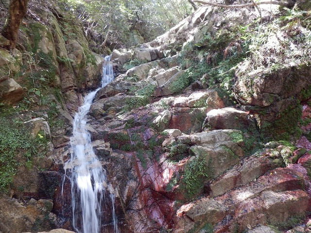 f0057070_10354768.jpg