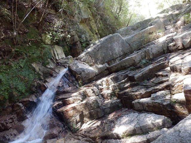 f0057070_10355444.jpg