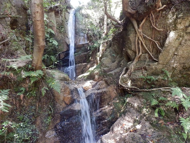 f0057070_10362132.jpg