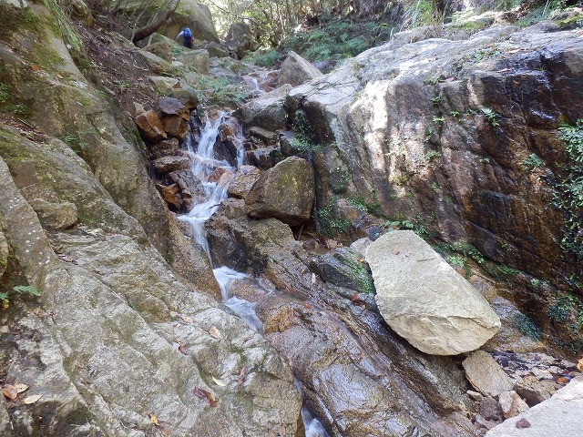 f0057070_1036342.jpg