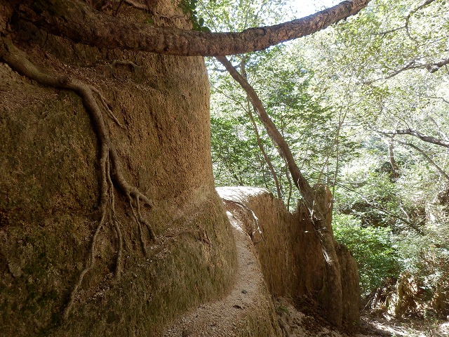 f0057070_10364270.jpg