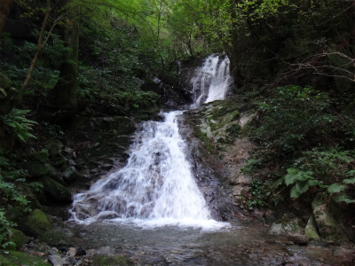d0182075_2481950.jpg