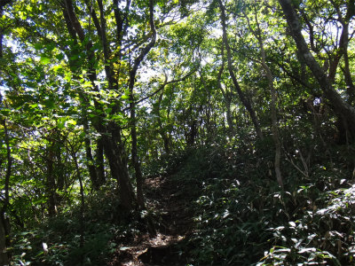 d0182075_2555964.jpg