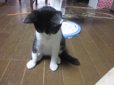 f0005081_12595097.jpg