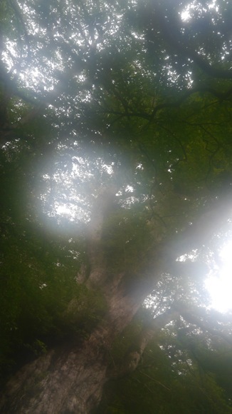 a0278382_19133685.jpg