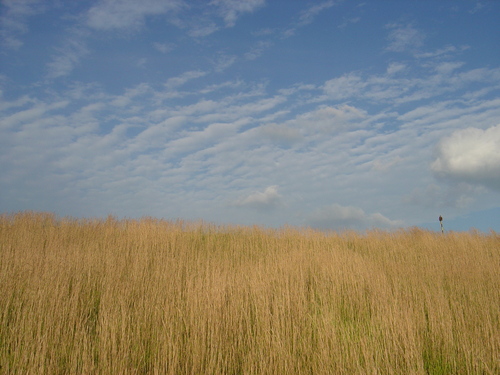 d0212491_20212097.jpg
