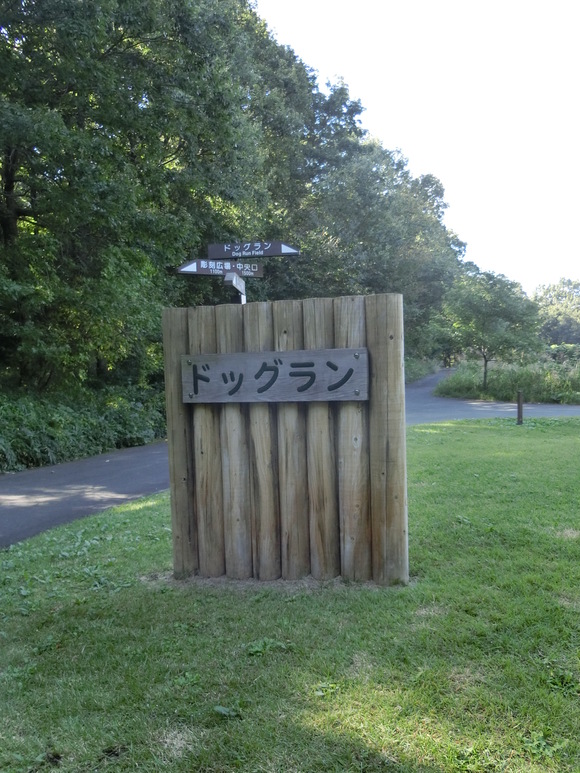 a0319693_7391678.jpg