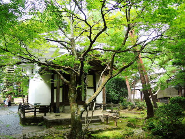 f0100593_19291061.jpg