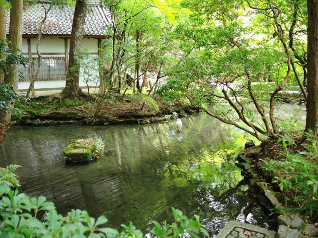 f0100593_19292272.jpg